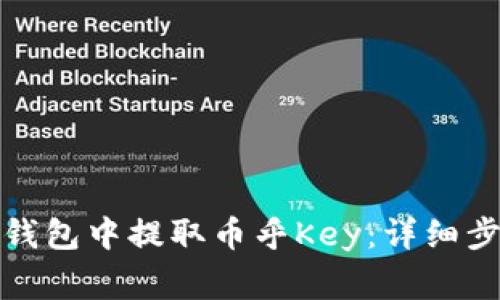 如何在比特派钱包中提取币乎Key：详细步骤与常见问题