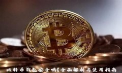比特币钱包安全吗？全面