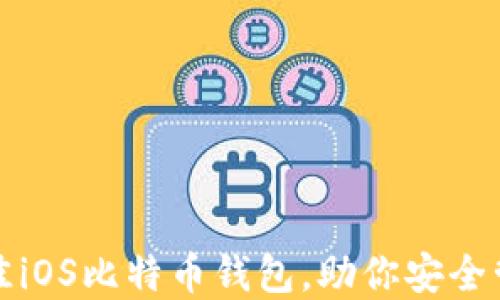 
推荐几款最佳iOS比特币钱包，助你安全管理数字资产