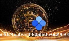 什么钱包可以存USDT？全面
