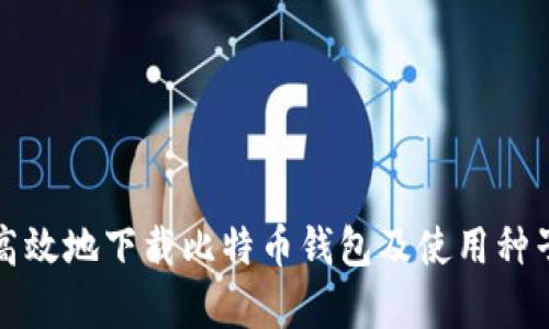 如何安全高效地下载比特币钱包及使用种子恢复功能