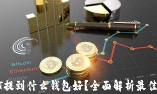 
USDT提到什么钱包好？全面解析最佳选择