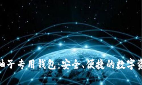 : e-token柚子专用钱包：安全、便捷的数字资产管理工具