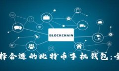如何选择合适的比特币手