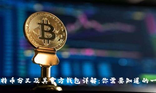比特币分叉及其官方钱包详解：你需要知道的一切