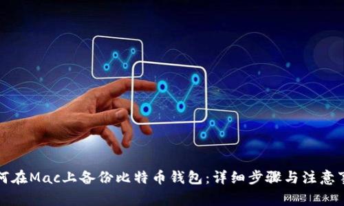 如何在Mac上备份比特币钱包：详细步骤与注意事项