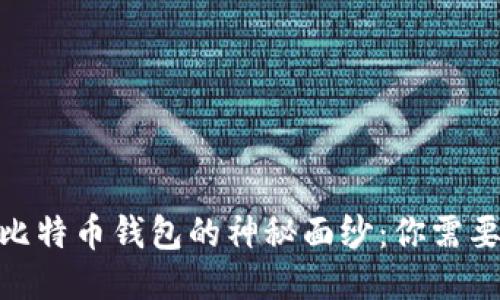 揭开198个比特币钱包的神秘面纱：你需要知道的一切
