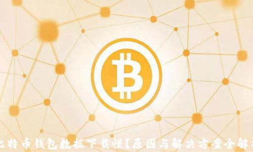 
比特币钱包数据下载慢？原因与解决方案全解析