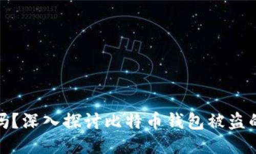 比特币钱包安全吗？深入探讨比特币钱包被盗的风险与防护措施