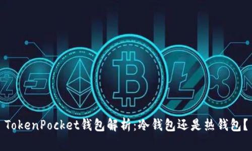 TokenPocket钱包解析：冷钱包还是热钱包？