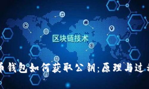 比特币钱包如何获取公钥：原理与过程解析