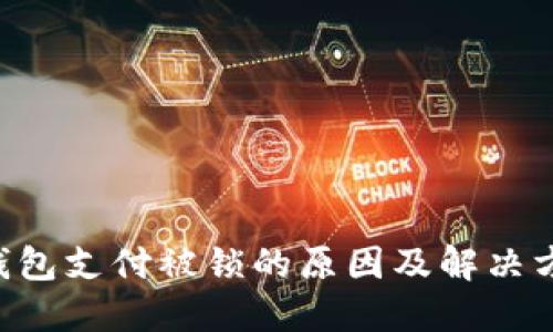 Token钱包支付被锁的原因及解决方法详解