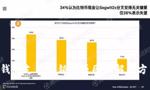 Token钱包支付被锁的原因及解决方法详解