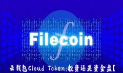 云钱包Cloud Token：投资还是