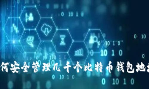 如何安全管理几千个比特币钱包地址？