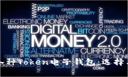 全面解析各种Token电子钱包：选择与使用指南